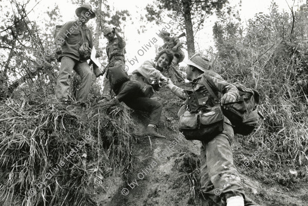 Image of sheet 19850160 photo 33: «Cerro 1300», Dpto. de Nueva Segovia, √ Reporter Reportage War Krieg Front Frente de guerra Jalapa Militär military soldiers Front Fotografin female photographer