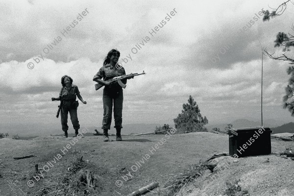 Image of sheet 19850170 photo 16: Zwei Frauen und Soldatinnen Soldat der sandinistischen Armee Militär Bataillon Veronica Lacayo tanzen mit Kalaschnikows soviet AK-47 an der Grenze zu Honduras zur Musik aus dem Kubanischen Transitor Radio. Las Segovias Nicaragua 04.85 1985 √ «Cerro 1300», Dpto. de Nueva Segovia, 1985

Out of: Der Traum von Solentiname / The dream of Solentiname / El sueño de Solentiname page 91

The AK-47 is a selective-fire, gas-operated 7.62×39mm assault rifle, first developed in the USSR by Mikhail Kalashnikov. It is officially known as Avtomat Kalashnikova (Russian: Автомат Калашникова). It is also known as a Kalashnikov, an "AK", or in Russian slang, Kalash.


Exhibition
gerahmt framed passepartout 37 x 52 cm