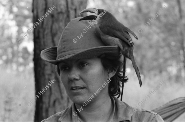 Image of sheet 19850170 photo 28: The Sandinista Popular Army (or People's Army; Ejército Popular Sandinista, EPS) was the military established in 1979 by the new Sandinista government to replace the National Guard, following the overthow of Anastasio Somoza Debayle. In post-Sandinista Nicaragua, it has been remolded into the National Army of Nicaragua. Joaquín Cuadra was chief of staff, serving Defense Minister Humberto Ortega. A draft, called the Patriotic Military Service (Servicio Militar Patriótico), (SMP) was instituted in 1983. It later became Obligatory Military Service (Servicio Militar Obligatorio) (SMO).The special forces Tropas Pablo Ubeda initially came under the Ministry of Interior and then the BLI'S were Created.