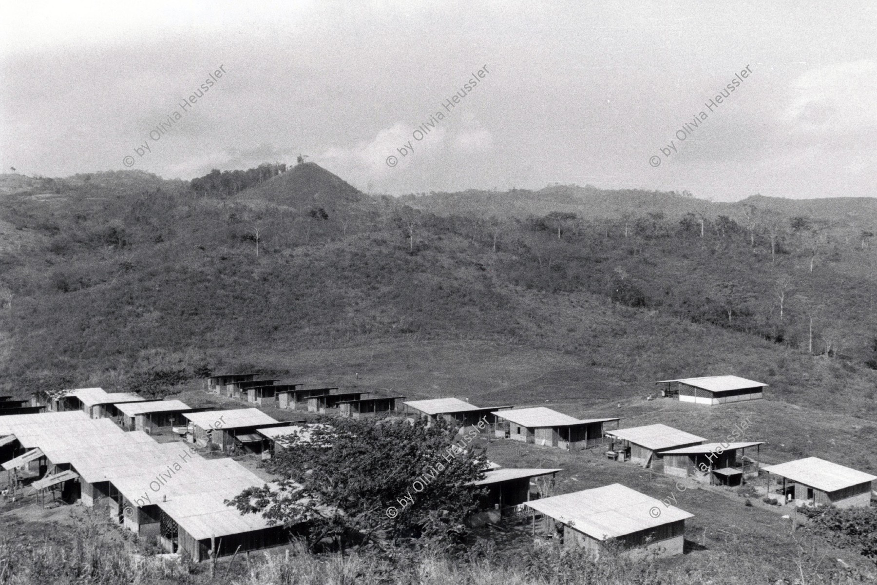 Image of sheet 19850181 photo 2: Die Landwirtschaftskooperative Polo de Yale wurde von Schweizer-Brigadistinnen aufgebaut und 1986 von den Contrarebellen fast vollständig zerstört. Matagalpa Nicaragua 1985 √ rechts aussen die Schule, die später zerstört wurde.
Cooperative Agriculture