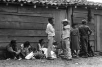 Image of sheet 19850190 photo 11: In Managua verkaufen Frauen Süssigkeiten. Sie tragen ihre Vollgefüllten Bleche mit Süssigkeiten Sweets auf dem Kopf. Familienangehörige der Soldaten EPS SMP besuchen ihre Brüder, Söhne und Ehemänner in El Regadio, die kurz vor ihrem Kriegseinsatz stehen. Kind auf einem Baum. Gruppenbilder und Portrait. Managua Nicaragua 1985