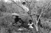 Image of sheet 19850190 photo 15: In Managua verkaufen Frauen Süssigkeiten. Sie tragen ihre Vollgefüllten Bleche mit Süssigkeiten Sweets auf dem Kopf. Familienangehörige der Soldaten EPS SMP besuchen ihre Brüder, Söhne und Ehemänner in El Regadio, die kurz vor ihrem Kriegseinsatz stehen. Kind auf einem Baum. Gruppenbilder und Portrait. Managua Nicaragua 1985