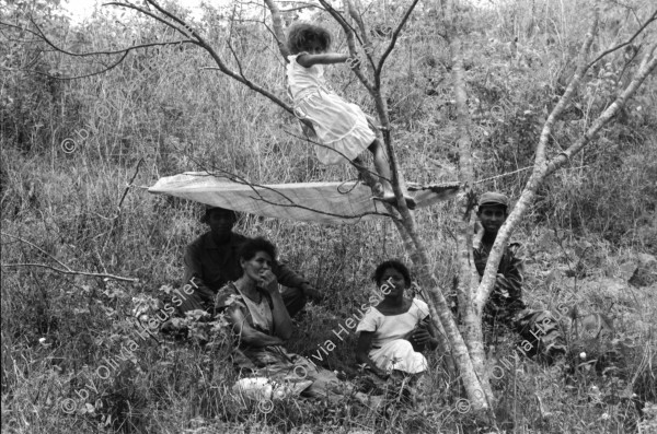 Image of sheet 19850190 photo 15: In Managua verkaufen Frauen Süssigkeiten. Sie tragen ihre Vollgefüllten Bleche mit Süssigkeiten Sweets auf dem Kopf. Familienangehörige der Soldaten EPS SMP besuchen ihre Brüder, Söhne und Ehemänner in El Regadio, die kurz vor ihrem Kriegseinsatz stehen. Kind auf einem Baum. Gruppenbilder und Portrait. Managua Nicaragua 1985