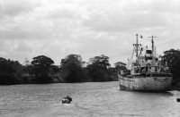 Image of sheet 19850211 photo 23: Ein altes Schiffswrack schmückt die Ausssicht auf den Rio Rama. Der Fluss verbindet Nicaragua mit seiner Atlantikküste. Er führt duch den Dschungel ans Meer und die Atlantikküste nach Bluefields. Auf dem Schiff macht eine Familie ihr Nickerchen Siesta Mittagsschlaf. Ein Mann schleppt auf seinem Rücken grosse Fleischstücke aus dem Schlachthaus. Bauernhaus am Meer. Campesino Siedlung neugebaut. Mann schleppt Holz auf Rücken, Kinder. Hafen von Bluefields. Ausicht auf den Atlantik. frtsg. Spielcasino. Mann mit Hut von hinten. 
Die Región Autónoma del Atlántico Sur (kurz RAAS) ist eine von zwei autonomen Regionen in Nicaragua. Sie bestehen als Verwaltungseinheit neben den 15 Departamentos in Nicaragua. Die beiden autonomen Gebiete entstanden durch eine neue Verfassung im Jahr 1987 und die daraufhin folgende Teilung des Departamentos Zelaya. 1985
Bluefields es un municipio de la Región Autónoma del Atlántico Sur, Nicaragua. Su cabecera municipal es Bluefields, que actualmente es sede administrativa del Gobierno Regional Autónoma del Atlántico Sur. Este municipio colinda al norte con el municipio de Kukra Hill, al sur con los municipios de San Juan del Norte y El Castillo, al este con el Mar Caribe y al oeste con los Municipios de Nueva Guinea y El Rama.