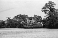 Image of sheet 19850211 photo 24: Ein altes Schiffswrack schmückt die Ausssicht auf den Rio Rama. Der Fluss verbindet Nicaragua mit seiner Atlantikküste. Er führt duch den Dschungel ans Meer und die Atlantikküste nach Bluefields. Auf dem Schiff macht eine Familie ihr Nickerchen Siesta Mittagsschlaf. Ein Mann schleppt auf seinem Rücken grosse Fleischstücke aus dem Schlachthaus. Bauernhaus am Meer. Campesino Siedlung neugebaut. Mann schleppt Holz auf Rücken, Kinder. Hafen von Bluefields. Ausicht auf den Atlantik. frtsg. Spielcasino. Mann mit Hut von hinten. 
Die Región Autónoma del Atlántico Sur (kurz RAAS) ist eine von zwei autonomen Regionen in Nicaragua. Sie bestehen als Verwaltungseinheit neben den 15 Departamentos in Nicaragua. Die beiden autonomen Gebiete entstanden durch eine neue Verfassung im Jahr 1987 und die daraufhin folgende Teilung des Departamentos Zelaya. 1985
Bluefields es un municipio de la Región Autónoma del Atlántico Sur, Nicaragua. Su cabecera municipal es Bluefields, que actualmente es sede administrativa del Gobierno Regional Autónoma del Atlántico Sur. Este municipio colinda al norte con el municipio de Kukra Hill, al sur con los municipios de San Juan del Norte y El Castillo, al este con el Mar Caribe y al oeste con los Municipios de Nueva Guinea y El Rama.
