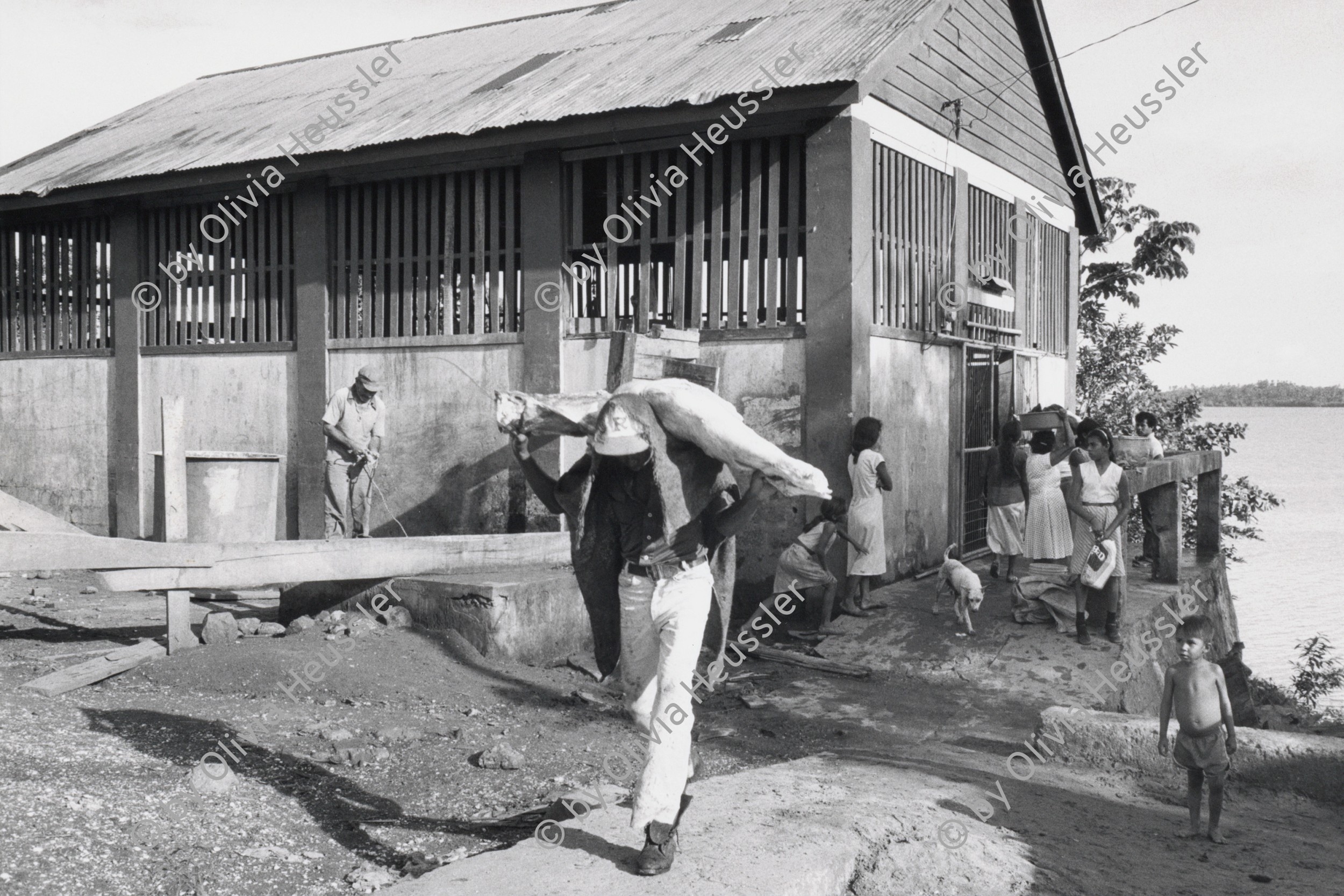 Image of sheet 19850211 photo 36: Ein Mann schleppt auf seinem Rücken grosse Fleischstücke aus dem Schlachthaus. Bauernhaus am Meer. Campesino Nicaragua 1985 √
Die Región Autónoma del Atlántico Sur (kurz RAAS) ist eine von zwei autonomen Regionen in Nicaragua. Sie bestehen als Verwaltungseinheit neben den 15 Departamentos in Nicaragua. Die beiden autonomen Gebiete entstanden durch eine neue Verfassung im Jahr 1987 und die daraufhin folgende Teilung des Departamentos Zelaya. 1985
Bluefields es un municipio de la Región Autónoma del Atlántico Sur, Nicaragua. Su cabecera municipal es Bluefields, que actualmente es sede administrativa del Gobierno Regional Autónoma del Atlántico Sur. Este municipio colinda al norte con el municipio de Kukra Hill, al sur con los municipios de San Juan del Norte y El Castillo, al este con el Mar Caribe y al oeste con los Municipios de Nueva Guinea y El Rama.