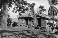 Image of sheet 19850211 photo 37: Bauernhaus Holzhaus Fischerhaus am Meer. RAAS Nicaragua 1985 √
Die Región Autónoma del Atlántico Sur (kurz RAAS) ist eine von zwei autonomen Regionen in Nicaragua. Sie bestehen als Verwaltungseinheit neben den 15 Departamentos in Nicaragua. Die beiden autonomen Gebiete entstanden durch eine neue Verfassung im Jahr 1987 und die daraufhin folgende Teilung des Departamentos Zelaya. 
Bluefields es un municipio de la Región Autónoma del Atlántico Sur, Nicaragua. Su cabecera municipal es Bluefields, que actualmente es sede administrativa del Gobierno Regional Autónoma del Atlántico Sur. Este municipio colinda al norte con el municipio de Kukra Hill, al sur con los municipios de San Juan del Norte y El Castillo, al este con el Mar Caribe y al oeste con los Municipios de Nueva Guinea y El Rama.