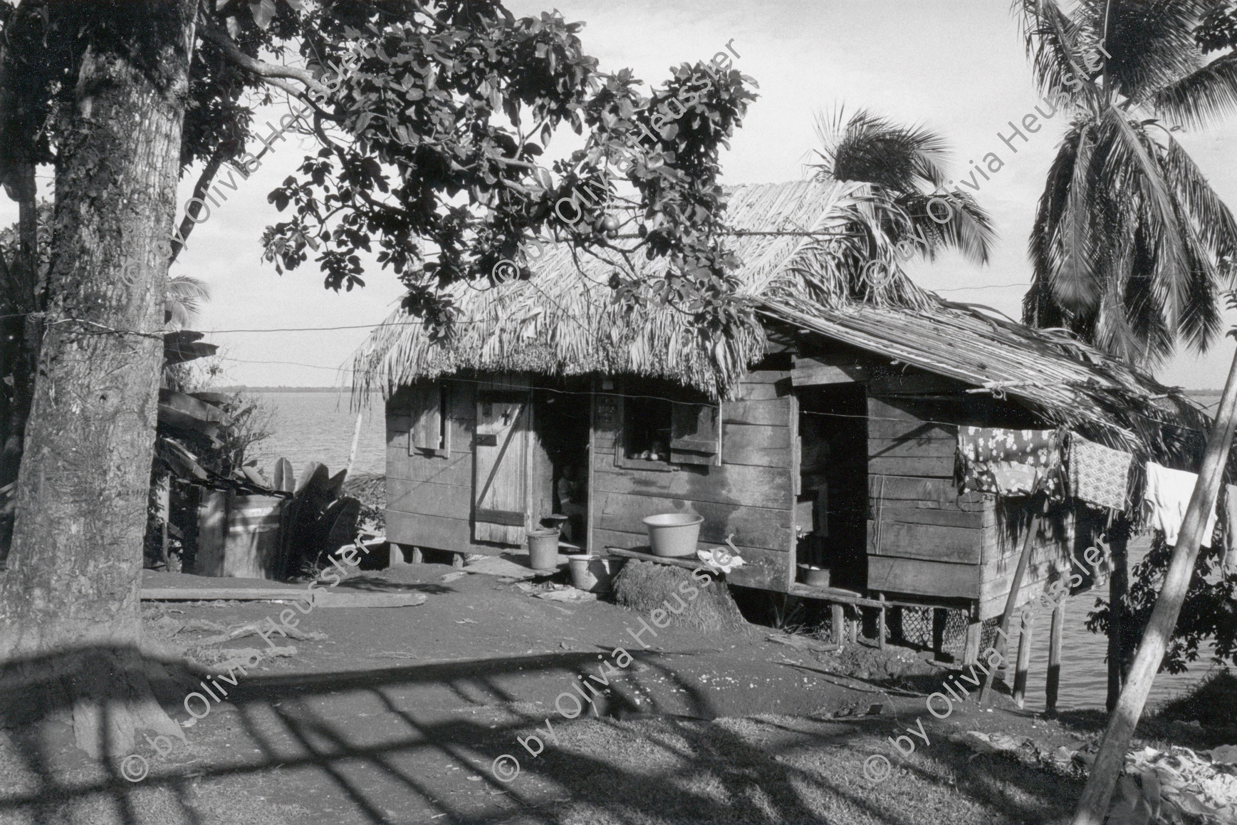 Image of sheet 19850211 photo 37: Bauernhaus Holzhaus Fischerhaus am Meer. RAAS Nicaragua 1985 √
Die Región Autónoma del Atlántico Sur (kurz RAAS) ist eine von zwei autonomen Regionen in Nicaragua. Sie bestehen als Verwaltungseinheit neben den 15 Departamentos in Nicaragua. Die beiden autonomen Gebiete entstanden durch eine neue Verfassung im Jahr 1987 und die daraufhin folgende Teilung des Departamentos Zelaya. 
Bluefields es un municipio de la Región Autónoma del Atlántico Sur, Nicaragua. Su cabecera municipal es Bluefields, que actualmente es sede administrativa del Gobierno Regional Autónoma del Atlántico Sur. Este municipio colinda al norte con el municipio de Kukra Hill, al sur con los municipios de San Juan del Norte y El Castillo, al este con el Mar Caribe y al oeste con los Municipios de Nueva Guinea y El Rama.