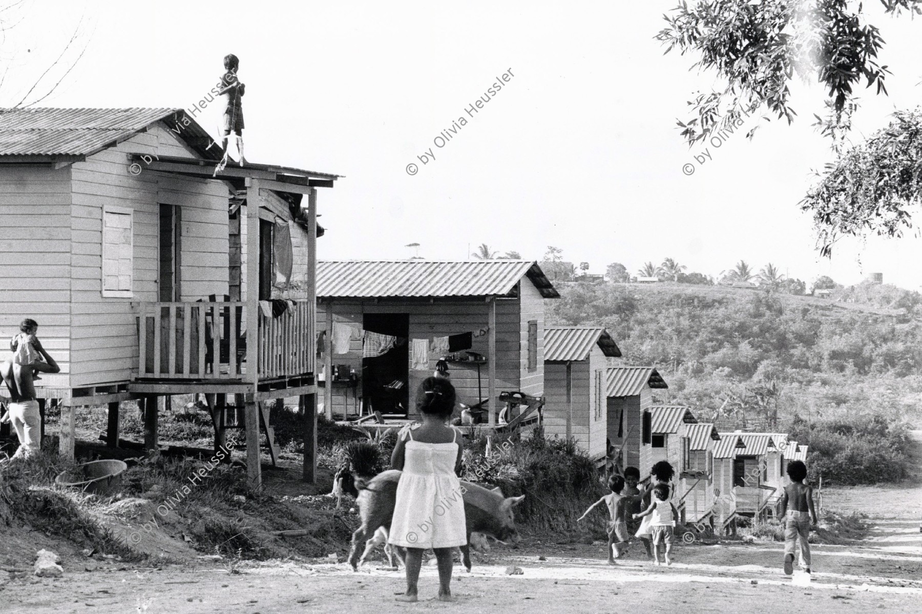 Image of sheet 19850211 photo 39: In einer neugebauten Siedlung in Bluefields an der Atlantikküste. 1985 √
Bluefields ist die Hauptstadt der autonomen Region Atlántico Sur an der Atlantikküste des mittelamerikanischen Staates Nicaragua; man nennt die Region auch nach den Ureinwohnern Miskitoküste.
Assentamiento
Bluefields es un municipio de la Región Autónoma del Atlántico Sur, Nicaragua. Su cabecera municipal es Bluefields, que actualmente es sede administrativa del Gobierno Regional Autónoma del Atlántico Sur. Este municipio colinda al norte con el municipio de Kukra Hill, al sur con los municipios de San Juan del Norte y El Castillo, al este con el Mar Caribe y al oeste con los Municipios de Nueva Guinea y El Rama.