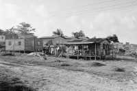 Image of sheet 19850230 photo 27: Settlement Assentamiento Siedlung von der sandinistischen Regierung gebaut.1985 √
Bluefields es un municipio de la Región Autónoma del Atlántico Sur, Nicaragua. Su cabecera municipal es Bluefields, que actualmente es sede administrativa del Gobierno Regional Autónoma del Atlántico Sur. Este municipio colinda al norte con el municipio de Kukra Hill, al sur con los municipios de San Juan del Norte y El Castillo, al este con el Mar Caribe y al oeste con los Municipios de Nueva Guinea y El Rama.

© 1985, OLIVIA HEUSSLER / www.clic.li