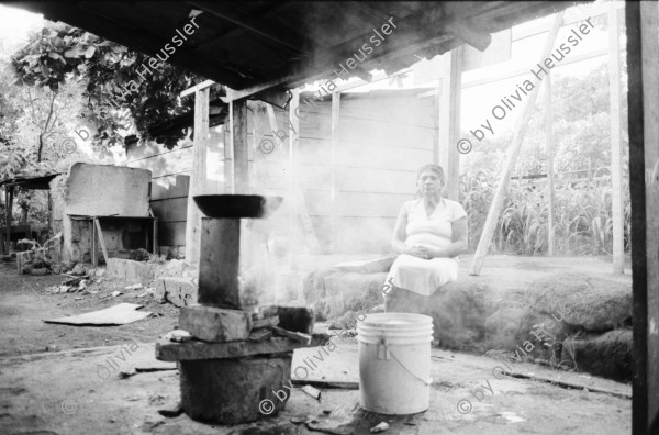 Image of sheet 19850240 photo 38: Das Verteilen der Eisbarren aus der Eisfabrik. Eis Managua Nicaragua 1985 √