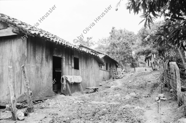 Image of sheet 19850260 photo 30: Frauenportraits in El Regadillo. Filmarbeiten von Kristina Konrad und Gabriela Baur. für «Cada dia historia» Es ist auch eine Photographin dabei, aus Esteli. Las Segovias Nicaragua 1985