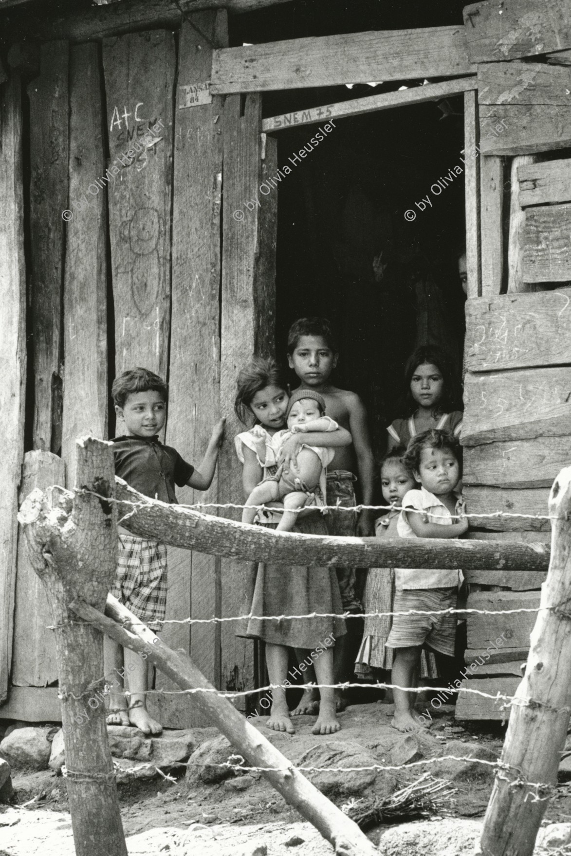 Image of sheet 19850260 photo 4: Die Kinder bleiben oft ganz alleine im Haus zurück und erziehen sich alleine, ohne Erwachsene. El Regadio Esteli Nicaragua 1985 √ Gruppenbild