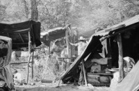 Image of sheet 19850270 photo 13: Das Assemtaiento Panali und Bartolo liegt am Rio Coco. Die Kinder haben es schwer und heiss unter den schwarzen Plastikplanen. Ich begleite eine Krankenschwester die jungen Mädchen die erste Hilfe Kurs. Beatmungen an einer Phantompuppe zeigt. Ein Mädchen ist mit ihren Schwestern mit der Kalaschnikov 
The AK-47 is a selective-fire, gas-operated 7.62×39 mm assault rifle, first developed in the USSR by Mikhail Kalashnikov. It is officially known as Avtomat Kalashnikova (Russian: Автомат Калашникова). It is also known as a Kalashnikov, an AK-47, or in Russian slang, Kalash.
unterwegs. Sandino steht an der Mauer. Eine Familie ohne Mann und Oberhaupt (!) bricht seine Zelte ab um in ein neuerstelltes Haus ohne Wände zu ziehen. Frau mit Baby sitzt unter einem Baum. Quilali Rio Coco Nicaragua 1985