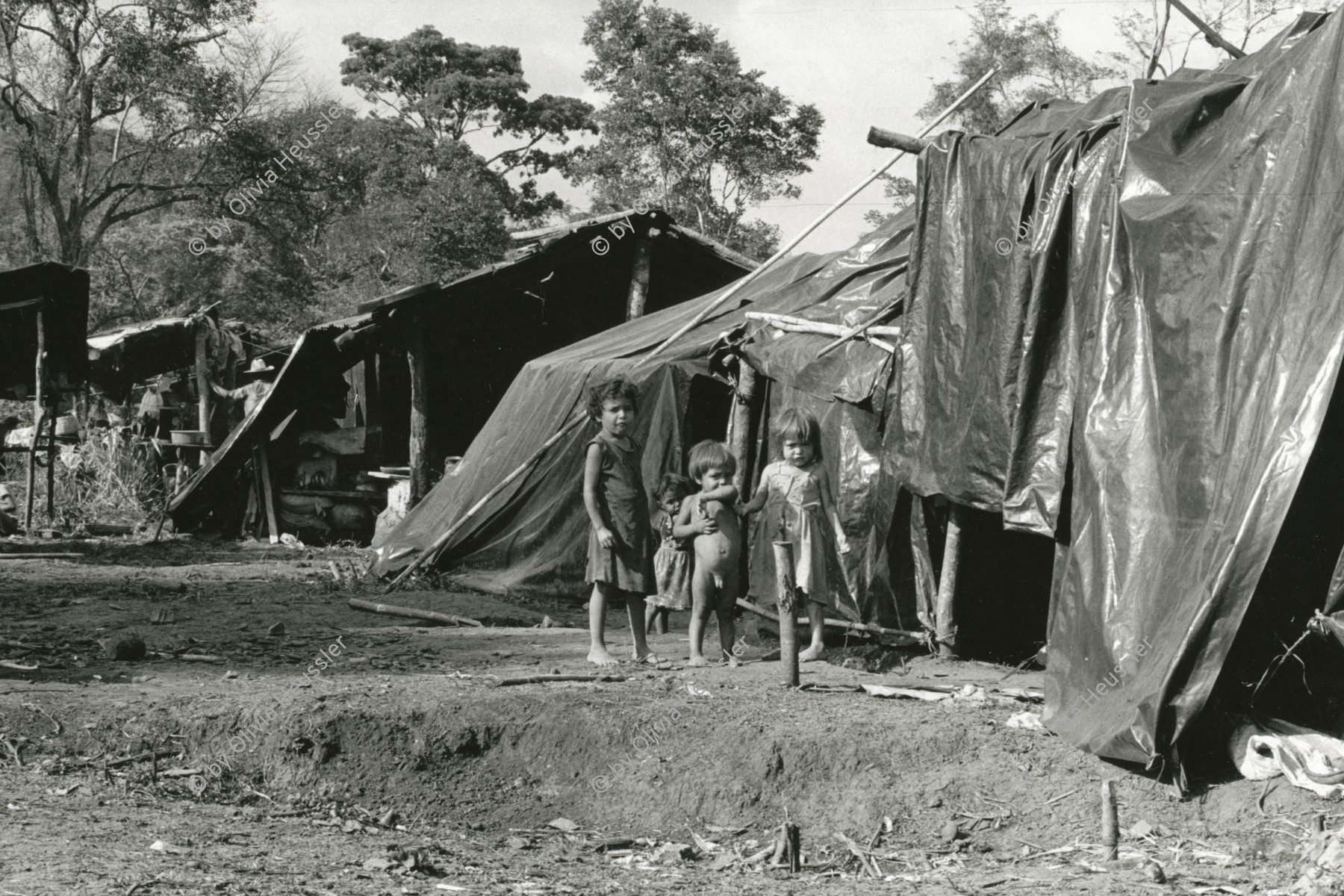 Image of sheet 19850270 photo 14: Flüchtlingskinder Kriegsflüchtlinge in einem notdürftig eingerichteten Lager im Norden Nicaraguas. Rio Coco Quilali 06.85 1985 √

Children in a refugeecamp at the Rio Coco near the frontline where the Sandinista Army and the Contrarebels continuasly are fighting. The refugees are waiting for their removal to a new camp site wher they ll be able to live in newly built houses constructed be the sandinista governement. central america war refugees housing human rights family kinder kids boys children