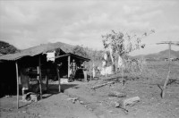 Image of sheet 19850270 photo 19: Das Assemtaiento Panali und Bartolo liegt am Rio Coco. Die Kinder haben es schwer und heiss unter den schwarzen Plastikplanen. Ich begleite eine Krankenschwester die jungen Mädchen die erste Hilfe Kurs. Beatmungen an einer Phantompuppe zeigt. Ein Mädchen ist mit ihren Schwestern mit der Kalaschnikov 
The AK-47 is a selective-fire, gas-operated 7.62×39 mm assault rifle, first developed in the USSR by Mikhail Kalashnikov. It is officially known as Avtomat Kalashnikova (Russian: Автомат Калашникова). It is also known as a Kalashnikov, an AK-47, or in Russian slang, Kalash.
unterwegs. Sandino steht an der Mauer. Eine Familie ohne Mann und Oberhaupt (!) bricht seine Zelte ab um in ein neuerstelltes Haus ohne Wände zu ziehen. Frau mit Baby sitzt unter einem Baum. Quilali Rio Coco Nicaragua 1985