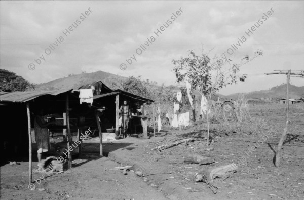 Image of sheet 19850270 photo 19: Das Assemtaiento Panali und Bartolo liegt am Rio Coco. Die Kinder haben es schwer und heiss unter den schwarzen Plastikplanen. Ich begleite eine Krankenschwester die jungen Mädchen die erste Hilfe Kurs. Beatmungen an einer Phantompuppe zeigt. Ein Mädchen ist mit ihren Schwestern mit der Kalaschnikov 
The AK-47 is a selective-fire, gas-operated 7.62×39 mm assault rifle, first developed in the USSR by Mikhail Kalashnikov. It is officially known as Avtomat Kalashnikova (Russian: Автомат Калашникова). It is also known as a Kalashnikov, an AK-47, or in Russian slang, Kalash.
unterwegs. Sandino steht an der Mauer. Eine Familie ohne Mann und Oberhaupt (!) bricht seine Zelte ab um in ein neuerstelltes Haus ohne Wände zu ziehen. Frau mit Baby sitzt unter einem Baum. Quilali Rio Coco Nicaragua 1985