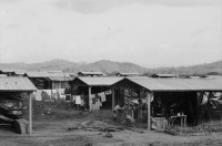Image of sheet 19850270 photo 21: Das Assemtaiento Panali und Bartolo liegt am Rio Coco. Die Kinder haben es schwer und heiss unter den schwarzen Plastikplanen. Ich begleite eine Krankenschwester die jungen Mädchen die erste Hilfe Kurs. Beatmungen an einer Phantompuppe zeigt. Ein Mädchen ist mit ihren Schwestern mit der Kalaschnikov 
The AK-47 is a selective-fire, gas-operated 7.62×39 mm assault rifle, first developed in the USSR by Mikhail Kalashnikov. It is officially known as Avtomat Kalashnikova (Russian: Автомат Калашникова). It is also known as a Kalashnikov, an AK-47, or in Russian slang, Kalash.
unterwegs. Sandino steht an der Mauer. Eine Familie ohne Mann und Oberhaupt (!) bricht seine Zelte ab um in ein neuerstelltes Haus ohne Wände zu ziehen. Frau mit Baby sitzt unter einem Baum. Quilali Rio Coco Nicaragua 1985