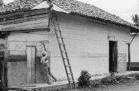 Image of sheet 19850370 photo 21: Ein junger Mann streicht sein Haus mit weisser Farbe. Auf seinem Rücken trägt er die Farben Rot und Schwarz. San Juan del Sur Nicaragua 1985