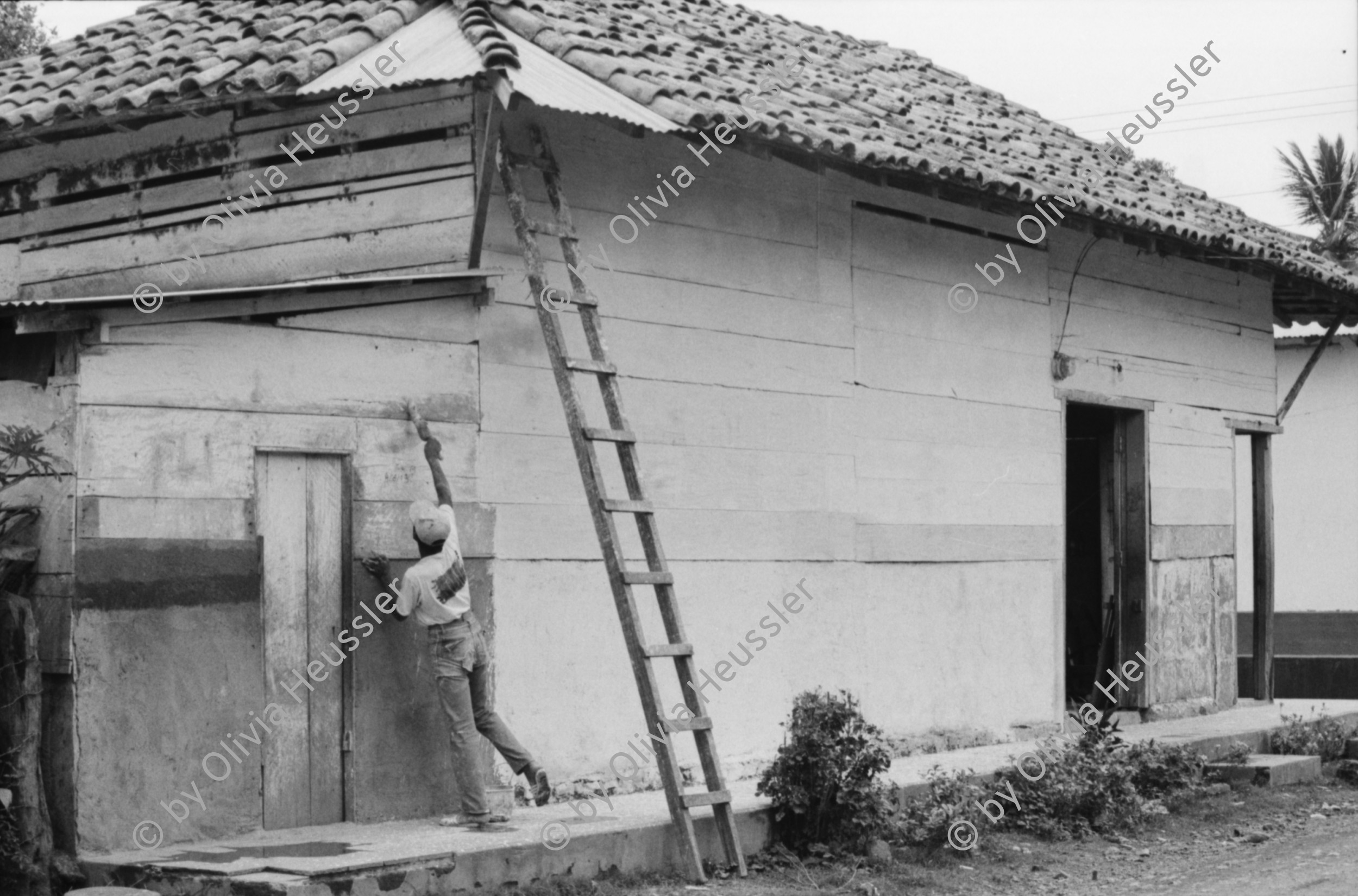 Image of sheet 19850370 photo 21: Ein junger Mann streicht sein Haus mit weisser Farbe. Auf seinem Rücken trägt er die Farben Rot und Schwarz. San Juan del Sur Nicaragua 1985