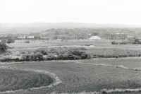 Image of sheet 19850380 photo 6: In der Hauptstadt Managua gibt es noch viel freien Raum für Landwirtschaft. Der Zirkus ist in der Stadt. Nicaragua 1985 √ libre agriculture