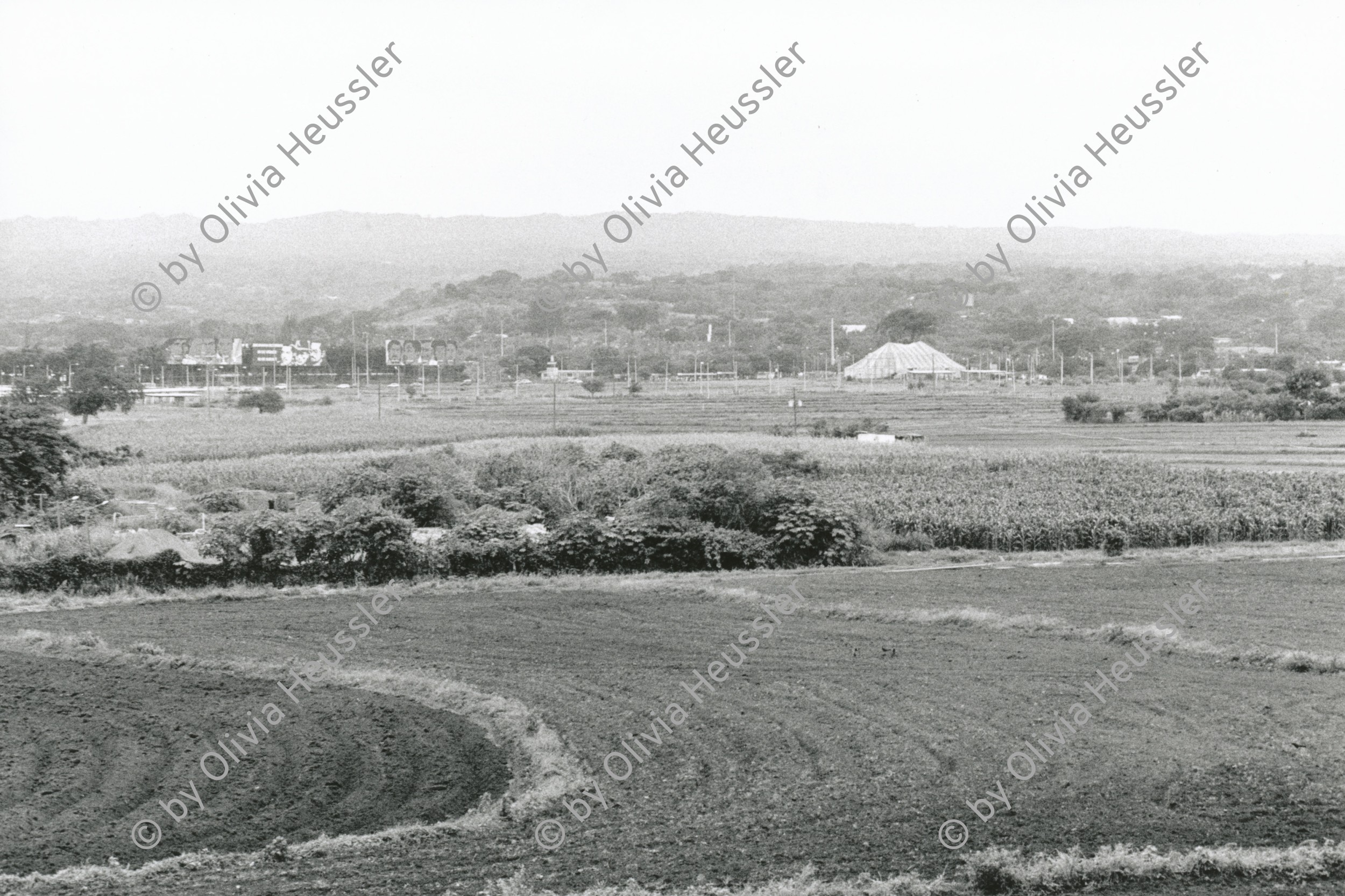 Image of sheet 19850380 photo 6: In der Hauptstadt Managua gibt es noch viel freien Raum für Landwirtschaft. Der Zirkus ist in der Stadt. Nicaragua 1985 √ libre agriculture