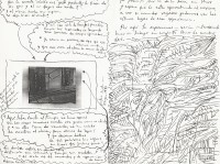 Image of sheet 19850390 photo 27: s