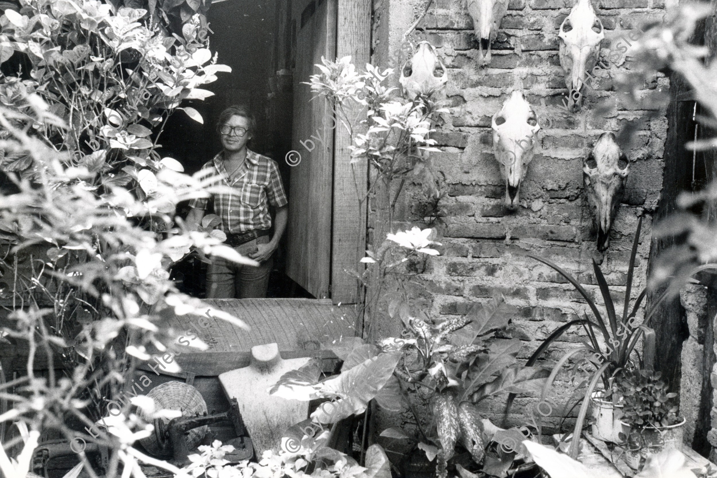 Image of sheet 19850420 photo 18: Bayardo Gamez, Künstler aus Esteli Sein Atelier ist mit Tierschädeln und Trophäen behenkt dekoriert  Segovias