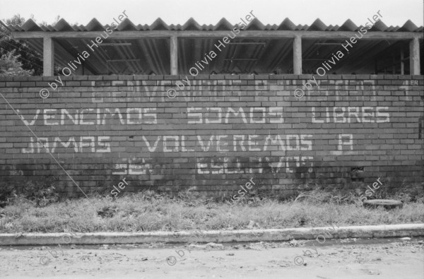 Image of sheet 19850440 photo 29: Am frühen Morgen fahre ich nach El Crucero . Es liegt hoch über Managua und es liegt immer im Nebel des Schwefeldampfes vom Vulkan Masaya. es ist ein paar Grade kühler dort. Der Schwefeldampf vom Vulkan in  Masaya, dem Santiago macht es der Natur unmöglich zu gedeihen. Bäume und andere Pflanzen ertragen
diese Luft nicht. Trotzdem stehen da einige Häuser und vereinzelt sehe ich Menschen. Frau mit Rind Kinder stehen da. Ein Mädchen vor einer Bretterwand Haus. Wandmalereien. COSEP Leute an PK.
José Chepe auf Motorrad Trautes. Gruppenbild Carretera sur. Managua 1985