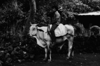Image of sheet 19850450 photo 54: Die traditionellen, grossen runden Tongefässe sind typisch für diese Gegend und werden noch von Hand hergestellt. Ometepe Nicaragua 10.85 
The big round earthenware are typical of the area and are still made by hand traditional pottery Indigene Indigena
handcraft √ Handwerk woman frau
© 1985, OLIVIA HEUSSLER / www.clic.li