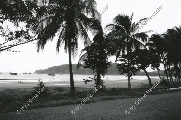 Image of sheet 19850450 photo 72: Der Strand Playa von San Juan del Sur an der Pazifikküste Im Süden Nicaraguas 09.85 1985 √ palm tree beach strand