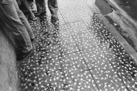 Image of sheet 19850471 photo 42: Schlüssel eingestanzt in Platten keys on the floor sidewalk as a decoration
ohne Aufkleber