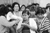 Image of sheet 19850530 photo 1: Nineth de Garcia today: Nineth Montenegro, is one of the founders of the Mutual Support Group (Grupo Apoyo Mutuo, or GAM) for relatives of the disappeared. Her husband Fernando was abducted three months before. But this group is not being formed simply to hold hands. They are supporting each other to protest the injustice of the disappearances.
GAM (Mutual Support Group; Spanish: Grupo de Apoyo Mutuo), one of Guatemala's oldest and best-known human rights organizations. mit Nineth de Garcia an der Spitze setzt sich seit Jahren für die Familien der vom
 Guatemaltekischen Militär und der Todesschwadronen entführten und
 ermordeten Menschen ein. Die GAM besetzte während den Wahlen, an denen 
Marco Vinicio Cerezo Arévalo (born 26 December 1942) is a Guatemalan politician. He served as President of Guatemala from 14 January 1986 to 14 January 1991 als Gewinner hervortrat die Kathedrale in der Hauptstadt. Das Wahlbüro und Computersaal. Pressearbeit Presse, Saal, Pc. Computer, JournalistInnen. Nineth de Garcia Montenegro Portrait. 

Transparente. Campesinos vor der Kathedrale in Guatemala City beim Regierungspalast.
Centralamerica Zentralamerika 1985