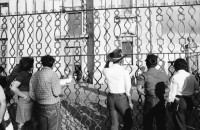 Image of sheet 19850530 photo 22: Nineth de Garcia today: Nineth Montenegro, is one of the founders of the Mutual Support Group (Grupo Apoyo Mutuo, or GAM) for relatives of the disappeared. Her husband Fernando was abducted three months before. But this group is not being formed simply to hold hands. They are supporting each other to protest the injustice of the disappearances.
GAM (Mutual Support Group; Spanish: Grupo de Apoyo Mutuo), one of Guatemala's oldest and best-known human rights organizations. mit Nineth de Garcia an der Spitze setzt sich seit Jahren für die Familien der vom
 Guatemaltekischen Militär und der Todesschwadronen entführten und
 ermordeten Menschen ein. Die GAM besetzte während den Wahlen, an denen 
Marco Vinicio Cerezo Arévalo (born 26 December 1942) is a Guatemalan politician. He served as President of Guatemala from 14 January 1986 to 14 January 1991 als Gewinner hervortrat die Kathedrale in der Hauptstadt. Das Wahlbüro und Computersaal. Pressearbeit Presse, Saal, Pc. Computer, JournalistInnen. Nineth de Garcia Montenegro Portrait. 

Transparente. Campesinos vor der Kathedrale in Guatemala City beim Regierungspalast.
Centralamerica Zentralamerika 1985