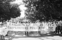 Image of sheet 19850540 photo 21: Grosse Gewerkschafts Demonstration der Cooperativisten durch San Salvador. El Salvador 1985
Gewerkschafts Demonstration mit: Fenacoa Fedecobacen Fecoracen Manifestation Transparent mit den Angaben über die geforderten Preise von: Maiz Arroz Frijol Ajonjoli Algodon (Mais, Baumwolle, Bohnen und Reis
«Pedimos estos Precios» Wir wollen diese Preise!
Lebensmittel Preisen. Masse.