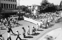 Image of sheet 19850540 photo 24: Gewerkschafts Demonstration der Cooperativisten durch San Salvador. El Salvador 1985
Gewerkschafts Demonstration mit: Fenacoa Fedecobacen Fecoracen Manifestation Transparent mit den Angaben über die geforderten Preise von: Maiz Arroz Frijol Ajonjoli Algodon (Mais, Baumwolle, Bohnen und Reis
«Pedimos estos Precios» Wir wollen diese Preise!
Lebensmittel Preisen. Masse.