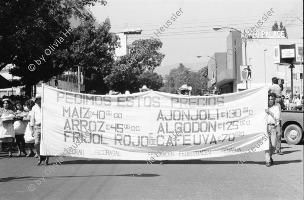 Image of sheet 19850540 photo 26: Grosse Gewerkschafts Demonstration der Cooperativisten durch San Salvador. El Salvador 1985
Gewerkschafts Demonstration mit: Fenacoa Fedecobacen Fecoracen Manifestation Transparent mit den Angaben über die geforderten Preise von: Maiz Arroz Frijol Ajonjoli Algodon (Mais, Baumwolle, Bohnen und Reis
«Pedimos estos Precios» Wir wollen diese Preise!
Lebensmittel Preisen. Masse.