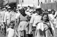 Image of sheet 19850540 photo 29: Grosse Gewerkschafts Demonstration der Cooperativisten durch San Salvador. El Salvador 1985
Gewerkschafts Demonstration mit: Fenacoa Fedecobacen Fecoracen Manifestation Transparent mit den Angaben über die geforderten Preise von: Maiz Arroz Frijol Ajonjoli Algodon (Mais, Baumwolle, Bohnen und Reis
«Pedimos estos Precios» Wir wollen diese Preise!
Lebensmittel Preisen. Masse.