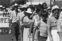 Image of sheet 19850540 photo 30: An der Demonstration der Gewerkschaften gegen die Preiserhöhungen nehmen auch viele Frauen teil. San Salvador 11.1985
Grosse Gewerkschafts Demonstration der Cooperativisten durch San Salvador. El Salvador 1985 Gewerkschafts Demonstration mit: Fenacoa Fedecobacen Fecoracen Manifestation Transparent mit den Angaben über die geforderten Preise von: Maiz Arroz Frijol Ajonjoli Algodon (Mais, Baumwolle, Bohnen und Reis «Pedimos estos Precios» Wir wollen diese Preise! Lebensmittel Preisen. Masse. 

Zentralamerika Centralamerica 1985 √