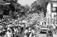 Image of sheet 19850540 photo 36: Gewerkschafts Demonstration der Cooperativisten durch San Salvador. El Salvador 1985
Gewerkschafts Demonstration mit: Fenacoa Fedecobacen Fecoracen Manifestation Transparent mit den Angaben über die geforderten Preise von: Maiz Arroz Frijol Ajonjoli Algodon (Mais, Baumwolle, Bohnen und Reis
«Pedimos estos Precios» Wir wollen diese Preise!
Lebensmittel Preisen. Masse.