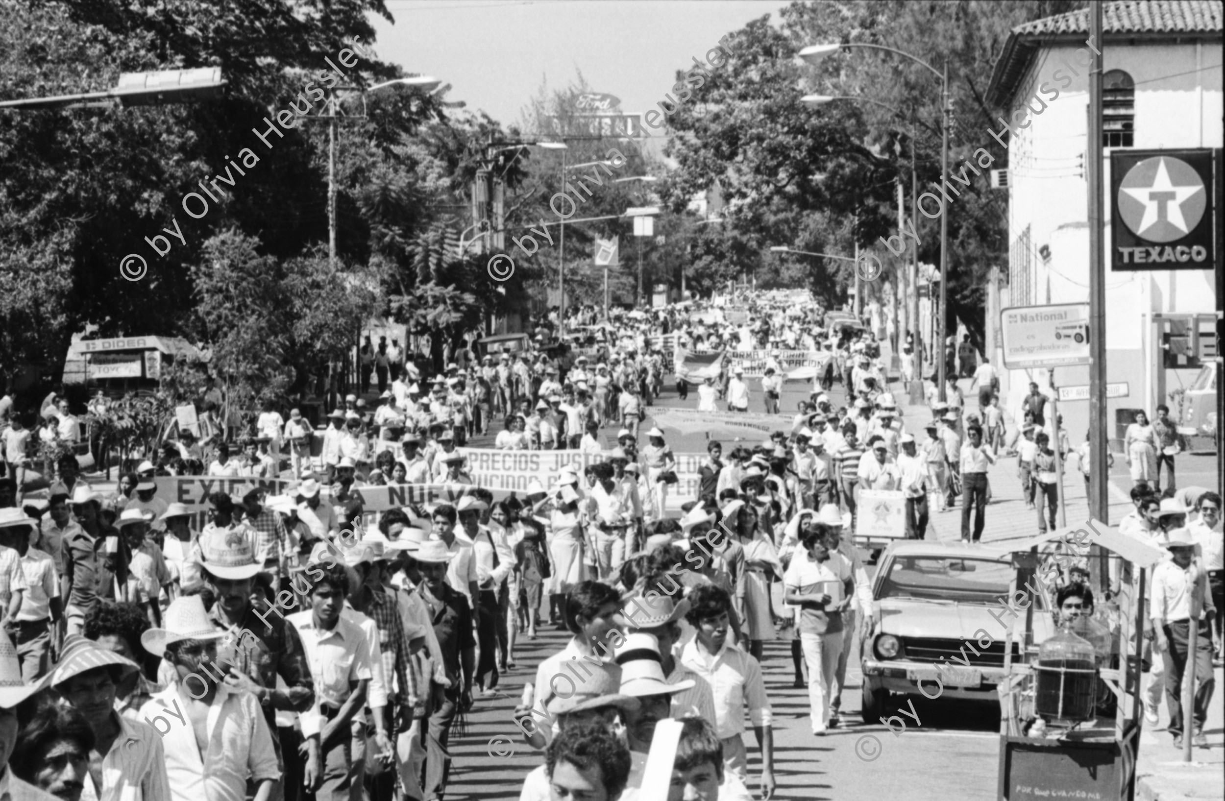 Image of sheet 19850540 photo 36: Gewerkschafts Demonstration der Cooperativisten durch San Salvador. El Salvador 1985
Gewerkschafts Demonstration mit: Fenacoa Fedecobacen Fecoracen Manifestation Transparent mit den Angaben über die geforderten Preise von: Maiz Arroz Frijol Ajonjoli Algodon (Mais, Baumwolle, Bohnen und Reis
«Pedimos estos Precios» Wir wollen diese Preise!
Lebensmittel Preisen. Masse.
