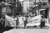Image of sheet 19850551 photo 1: Die Bauern und Arbeiter marschieren für Preisstabilität durch San Salvador. 11.85

Gewerkschafts Demonstration mit: Fenacoa Fedecobacen Fecoracen Manifestation Transparent mit den Angaben über die geforderten Preise von: Maiz Arroz Frijol Ajonjoli Algodon (Mais, Baumwolle, Bohnen und Reis
«Pedimos estos Precios» Wir wollen diese Preise!
Lebensmittel Preisen. Masse.
Zentralamerika Centralamerica 1985 √