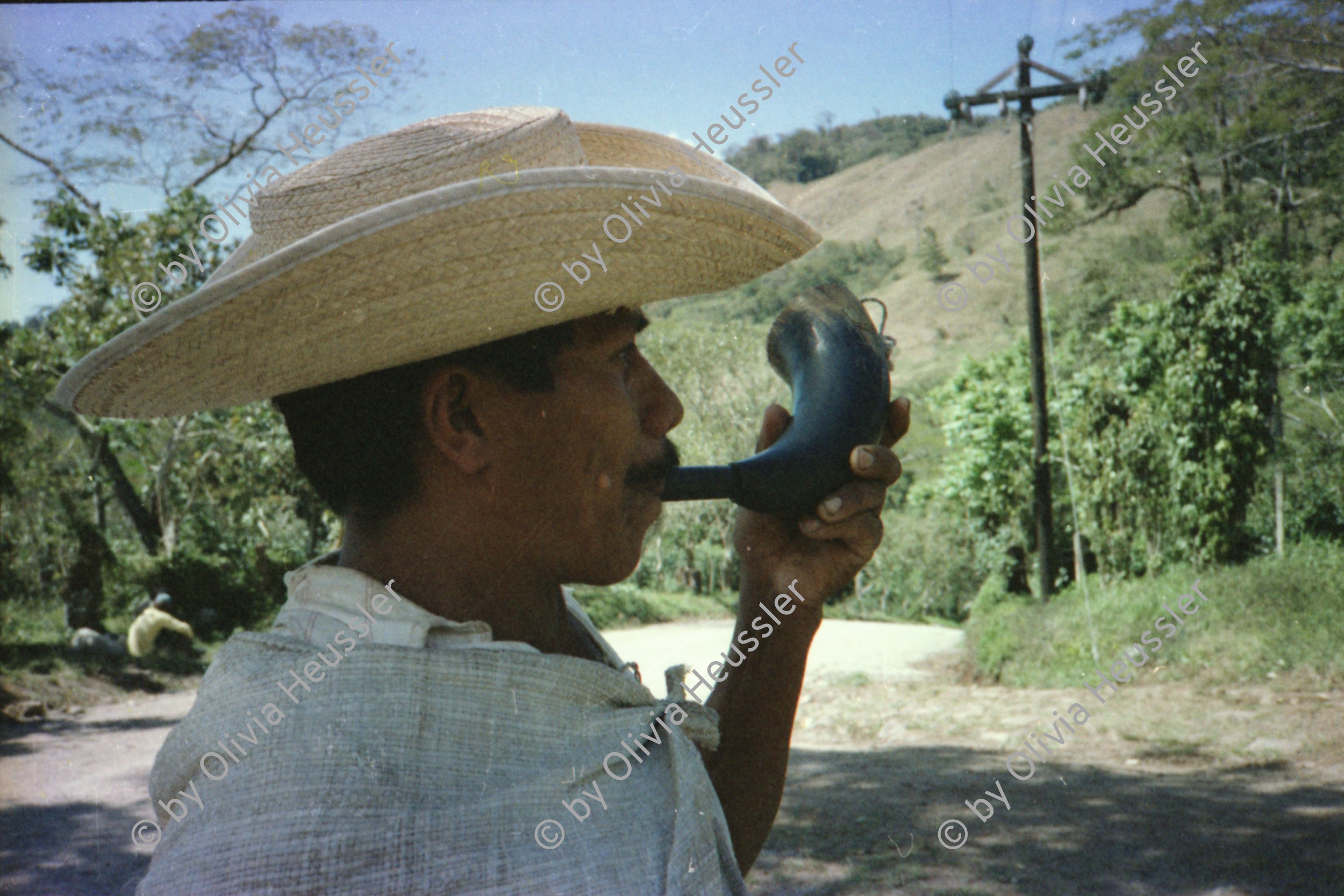 Image of sheet 19851500 photo 15: Internationale Brigaden Brigadistinnen und Brigadisten aus Nicaragua und anderen Ländern Kaffeepflücken Kaffeefinca Lorenzo Cardenal nr. 34 Frosch giftig Kaffeestauden während des Pflückens Bauern spielen Gitarre Fest Engländer grüssen Nicas