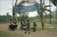 Image of sheet 19851500 photo 31: Internationale Brigaden Brigadistinnen und Brigadisten aus Nicaragua und anderen Ländern Kaffeepflücken Kaffeefinca Lorenzo Cardenal nr. 34 Frosch giftig Kaffeestauden während des Pflückens Bauern spielen Gitarre Fest Engländer grüssen Nicas