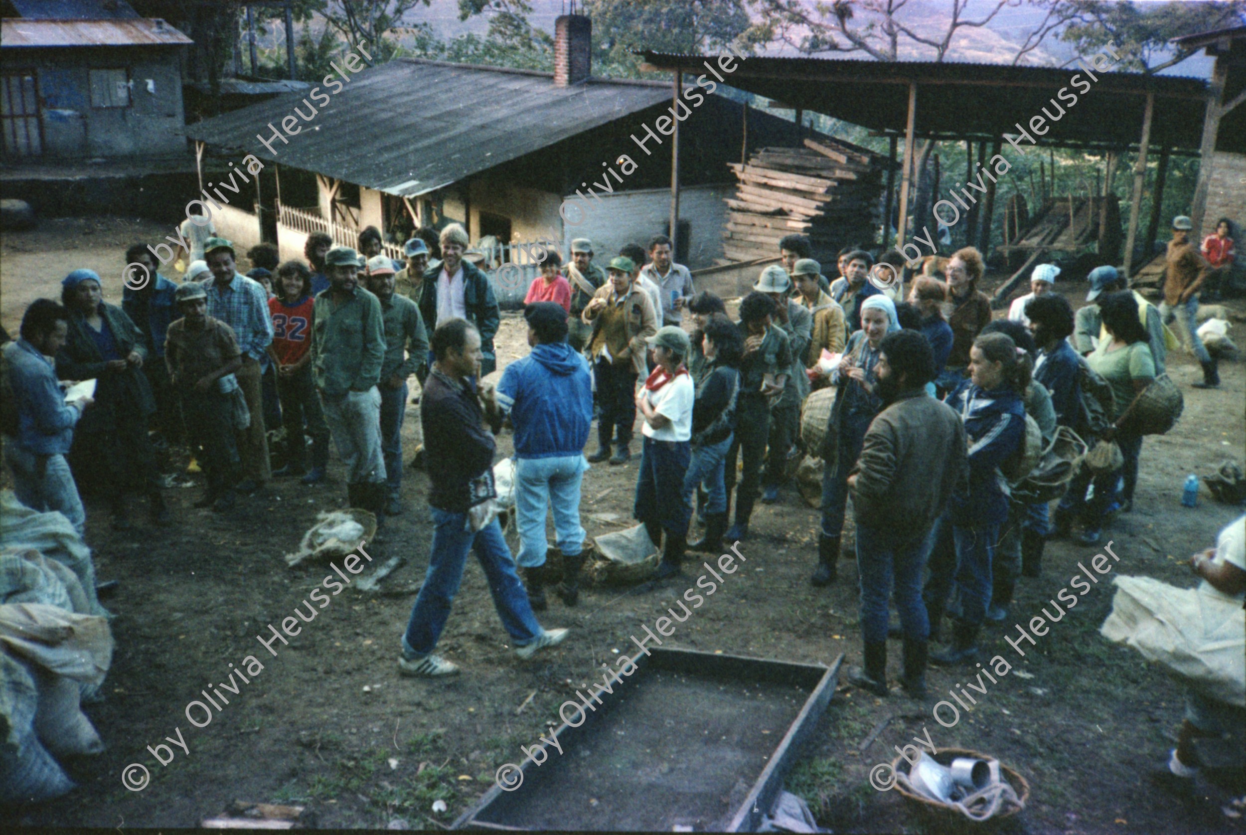Image of sheet 19851500 photo 7: Internationale Brigaden Brigadistinnen und Brigadisten aus Nicaragua und anderen Ländern Kaffeepflücken Kaffeefinca Lorenzo Cardenal nr. 34 Frosch giftig Kaffeestauden während des Pflückens Bauern spielen Gitarre Fest Engländer grüssen Nicas