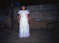 Image of sheet 19851510 photo 22: Hochzeit von ? Traute Boie nr. 6  2.v.l.