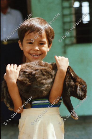 Image of sheet 19851530 photo 16: Rafael Ruiz Kameramann Familie Quinionez in Managua