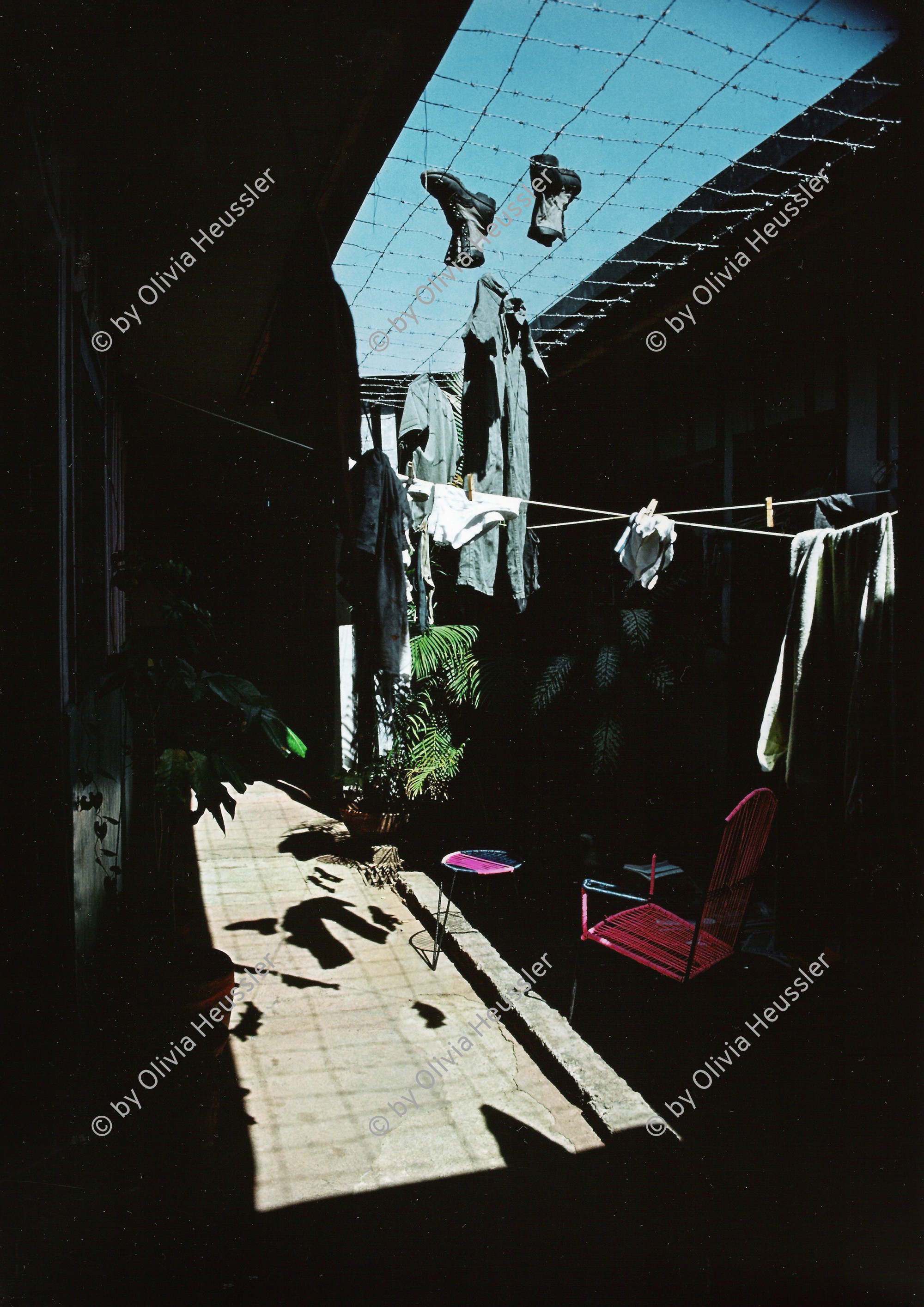 Image of sheet 19853000 photo 19: Ein Soldat trocknet seine Militaer Uniform im Stacheldraht Geflecht an der Sonne. 1985 er Jahre. Nicaragua, Zentralamerika
Uniform: Militaer; Stiefel; Soldaten; Unterwaesche; Schuhe; trocknen; Gewaschen; Waschen; sonne
Exhibition: »Bildbruchbild« University of Zurich, 1991
p.68
