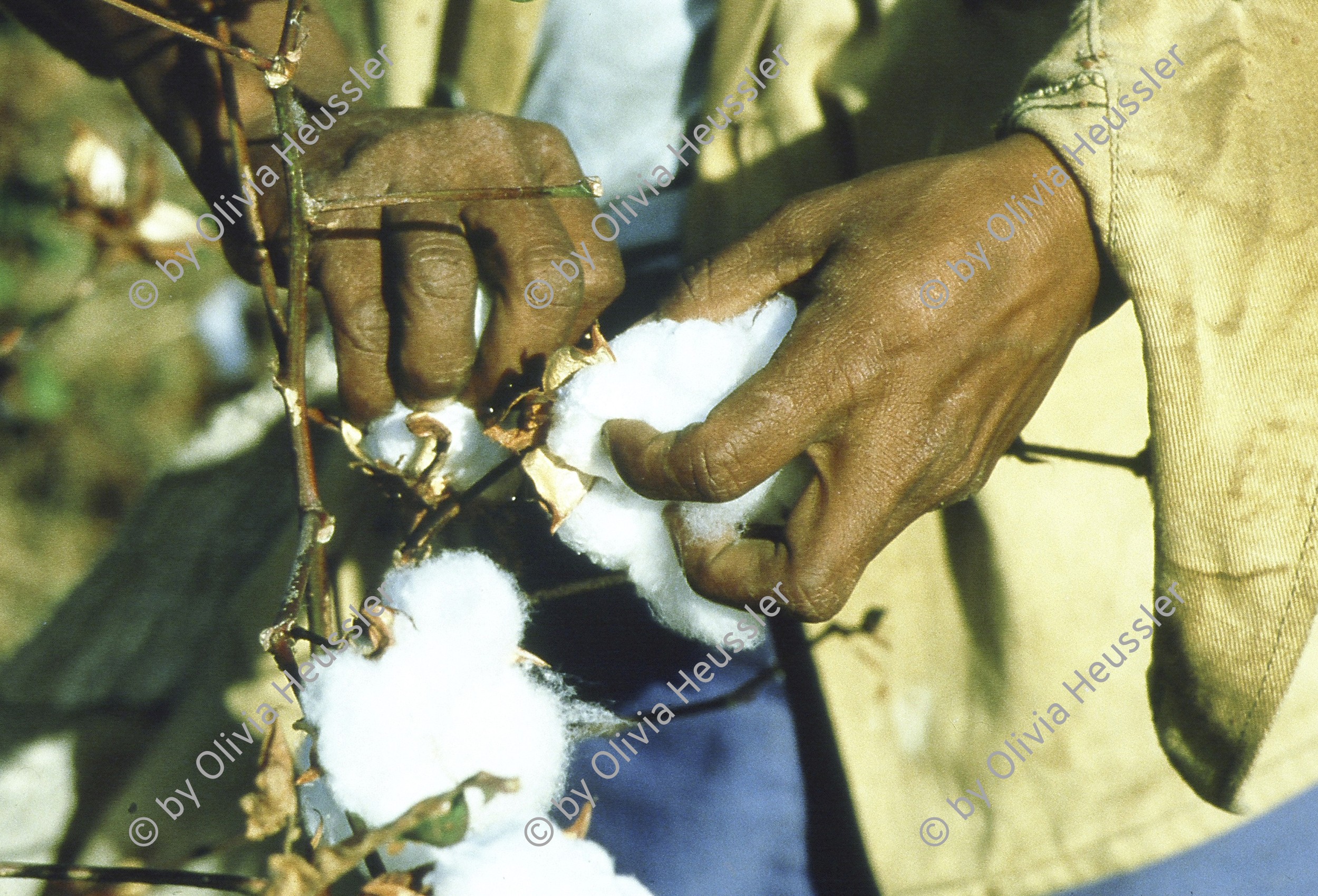 Image of sheet 19853000 photo 26: Nicaragua, Zentralamerika.