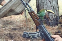 Image of sheet 19853000 photo 30: Un toucan est installé sur une Kalachnikov AK-47 soviétique. Il sert comme un porte-bonheur. Front du nord. Nicaragua
p.87




Ein Tukan hat sich auf der sovietischen Kalaschnikov AK-47 niedergelassen. Er dient in der sandinistischen Armee als Glücksbringer. Segovias, Nicaragua 04.85 1985 √ Aus: von Zeit zu Zeit Out of: from Time to Time Out of: Der Traum von Solentiname / The dream of Solentiname / El sueño de Solentiname page 87 color La Sandrita, Santa Clara, Dpto. de Nueva Segovia, 1985 
Exhibition: Contres Pouvoirs, Altkirch 2017
Kunstszene Zürich 1986 in der Züspa-Halle Zürich
Ankauf Kanton Zürich, Ins. Nr. 7743